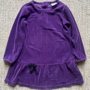 Hanna Andersson Purple Kids Dress
